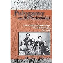 Polygamy on the Pedernales (Lyman Wight's Mormon Villages in Antebellum Texas 1845-1858) (Paperback)