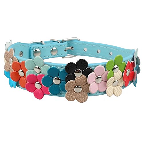 Berry Pet PU Leather Flower Dog Collars for Small Dogs,Blue,1.0