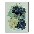 Les Raisins - Gift Enclosure Cards (set of 12)
