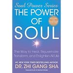The Power of Soul: The Way to Heal, Rejuvenate, Transform, and Enlighten All Life