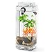 [Newest Version] NoClean Aquariums New GravityFlow Self-Cleaning Glass Betta Aquarium Starter Kit with Polished Stones and IllumaFlex White LED - The Original Self-Cleaning Aquarium! [2nd Generation]