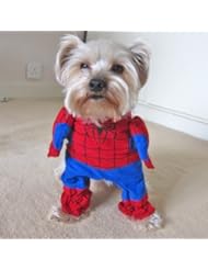 From Amazon.com. Click for details:
 Alfie Pet by Petoga Couture - Superhero Costume Spiderman - Size: S Alfie Pet by Petoga Couture - Superhero Costume Spiderman - Size: S