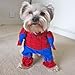 Alfie Pet by Petoga Couture - Superhero Costume Spiderman - Size: S