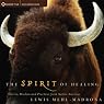 The Spirit of Healing: Stories, Wisdom, and Practices from Native America