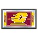 Central Michigan University Mirror - 26x15