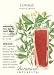 Lovage Heirloom Seeds