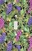 Grape Vine Collage Decorative Switchplate Cover