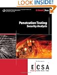 Penetration Testing: Security Analysis