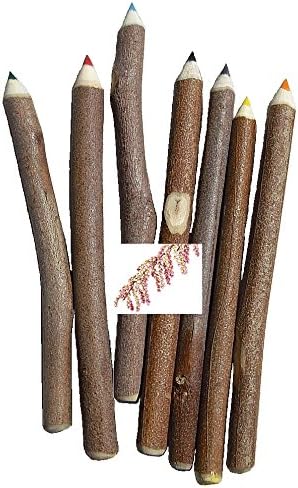 Handmade Twig Pencils Wholesale - Tamarisk 5 Bundles (35 pencils) of 7 Mixed Colors, Made in the USA