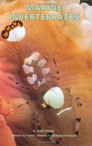Marine Invertebrates under Aquatic Life in The Books Store