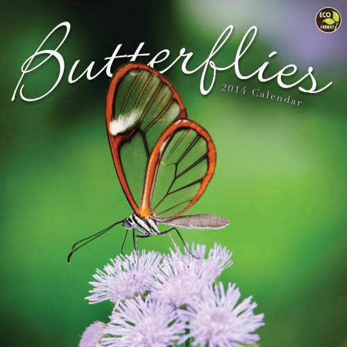 2014 Butterflies Wall Calendar