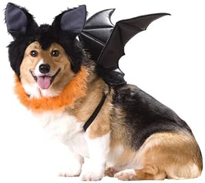 Animal Planet PET20103 Bat Dog Costume, Large