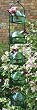 Parasol LP5G Bouquet Lunchpail 5-Station Blown Glass Hummingbird Feeder - Green