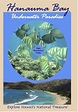 Hanauma Bay: Underwater Paradise