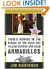 There's Nothing in the Middle of the Road but Yellow Stripes and Dead Armadillos: A Work of Political Subversion