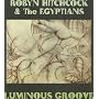 Lunimous Groove [Vinyl LP]