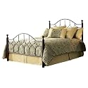 Fashion Bed Group Bianca Queen Size Headboard in Hammered Pewter/Espresso Finish