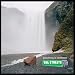 Everything Is Borrowed [Vinyl]