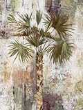 Palm Design HIGH QUALITY MUSEUM WRAP CANVAS Print Taylor 19x25