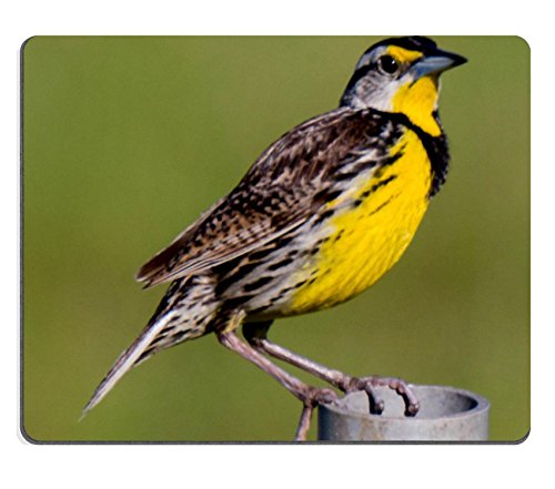 Luxlady Mousepad 06 17 15 9393 jpg Natural Rubber Material Image 18895402821
