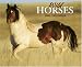 Book Wild Horses 2008 Calendar