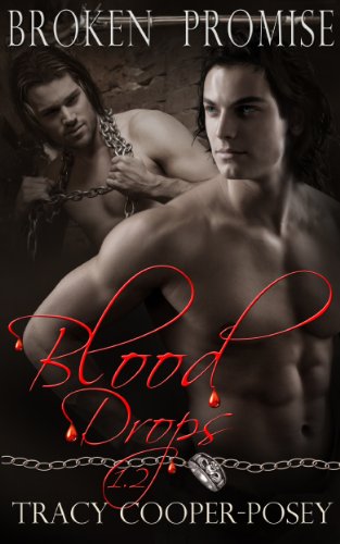 Broken Promise (Blood Stone Book 0)