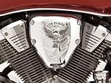 Show Chrome Air Cleaner Cover - Free Spirit