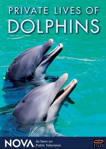 NOVA: Private Lives of Dolphins