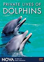 NOVA: Private Lives of Dolphins (1992)