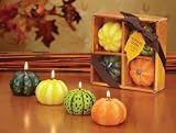 Club Pack of 24 Autumn Glow Unscented Thanksgiving Mini Gourd Candles