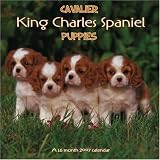 Cavalier King Charles Spaniel Puppies 2007 Wall Calendar