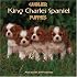 Cavalier King Charles Spaniel Puppies 2007 Wall Calendar