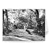 Children enjoy a rope swing - Greeting Card (Pack of 2) - 7x5 inch - Art247 - Standard Size - Pack Of 2