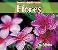 Flores (&iexcl;Encuentra las diferencias! Plantas) (Spanish Edition)