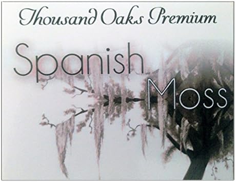 Thousand Oaks Spanish Moss - 8 Oz - Live - Fresh from South Florida Oak Trees - Premium - Clean