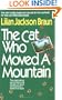 The Cat Who Moved a Mountain