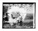 Historic Print (XL): Harding at Indian Spring [...]