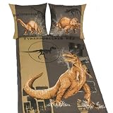 Herding 465147050 Bettw&auml;sche Dinosaurier, 80x80 + 135x200 cm, Flanell