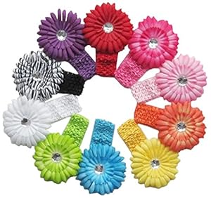 Qandsweet 10pcs Baby Headbands Daisy Flower (10pack)