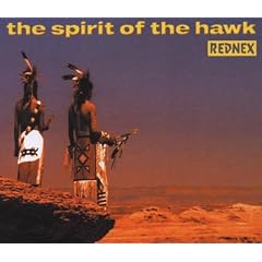 Spirit of the Hawk