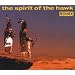 Spirit of the Hawk