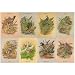 Game Birds Jigsaw Puzzle 1000pc