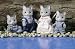 Calico Critters Fisher Cat Family