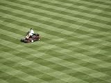 A Lot to Mow. - 36