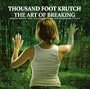 Art of Breaking