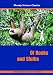 OF BOOKS AND SLOTHS [DVD] [NTSC]