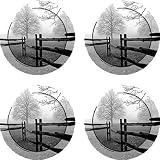 Fence in the Mist Coasters 4 pk.