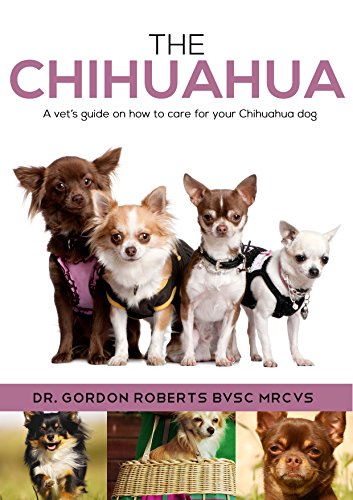 The Chihuahua: A vet's guide on how to care for your chihuahua dog