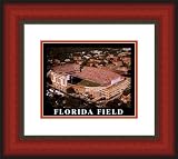 Small Griffin Stadium Florida Gators Aerial Framed Print - Cherry Double Mat