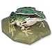 3B Scientific VN704/2 Female Edible Frog (Rana Esculenta)